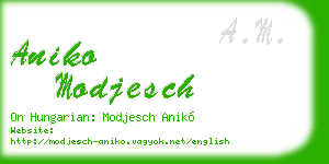 aniko modjesch business card